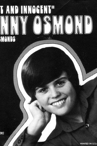 Donny Osmond Sweet And Innocent Older iPhone & iPod - Wallpaper - Picture  Sleeve Pop Wallpapers